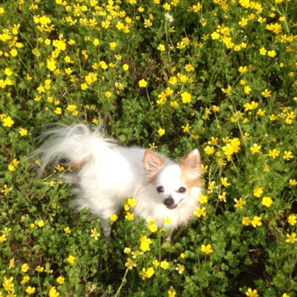 Meet your Posher, Regina - Picture 4 of 8